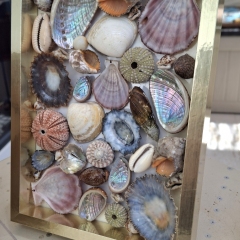 Framed Ocean Art