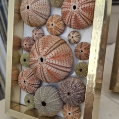 Framed Ocean Art