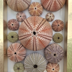 Framed Ocean Art