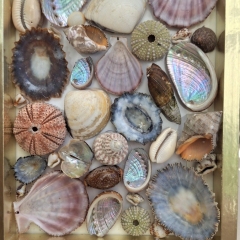 Framed Ocean Art