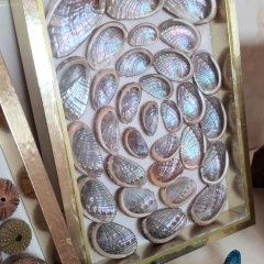 Framed Ocean Art