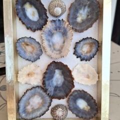 Framed Ocean Art