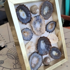 Framed Ocean Art