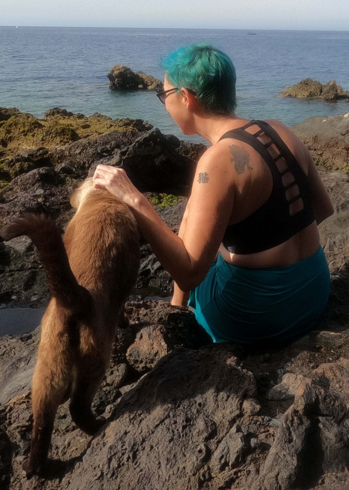 La artesana en el mar con un gato callejero